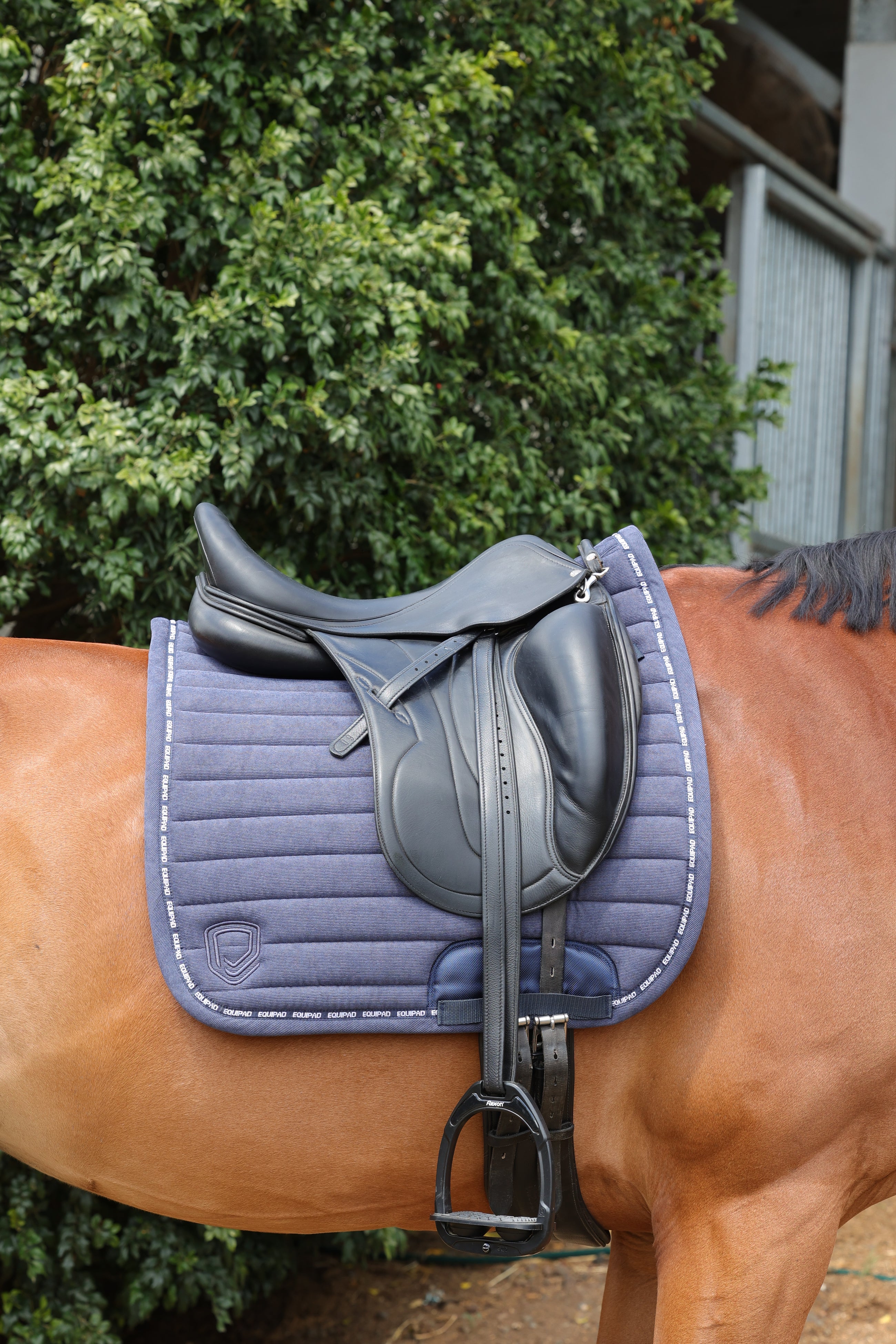 Corduroy Dressage Saddle Pad - Navy